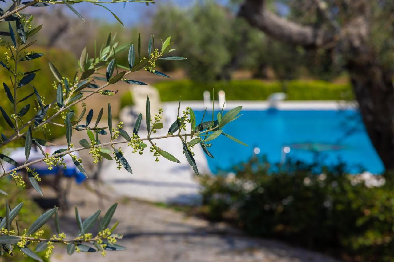 Casa Ulmi Con Piscina Acomodação com café da manhã Uggiano La Chiesa Exterior foto